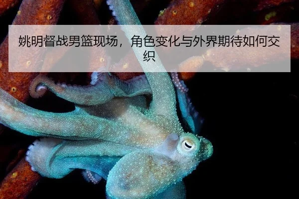 yao-ming-du-zhan-nan-lan-xian-chang-jue-se-bian-hua-yu-wai-jie-qi-dai-ru-he-jiao-zhi-2-513.jpg